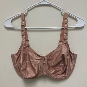 PrimaDonna Bra 36F